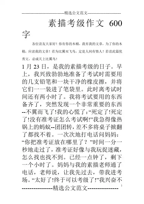 素描考级作文600字