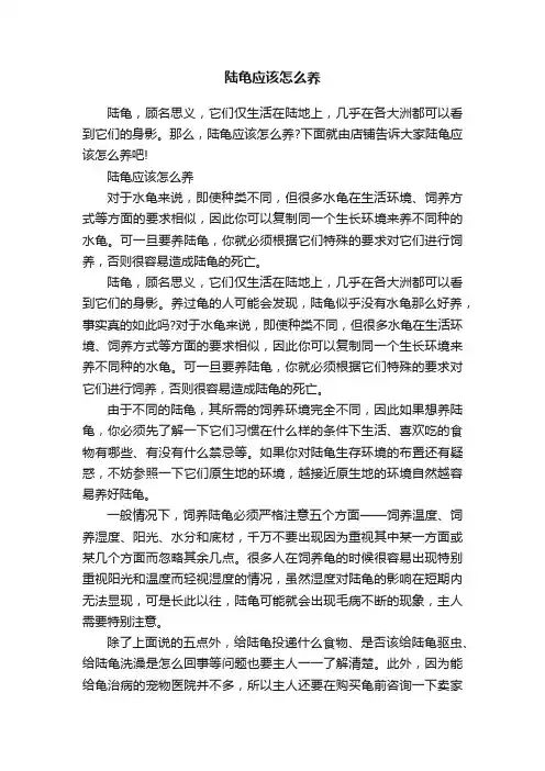 陆龟应该怎么养