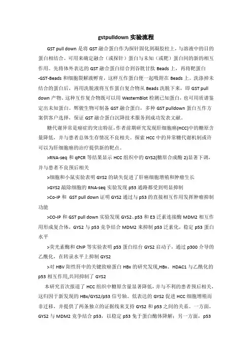 gstpulldown实验流程