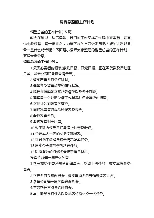销售总监的工作计划（15篇）