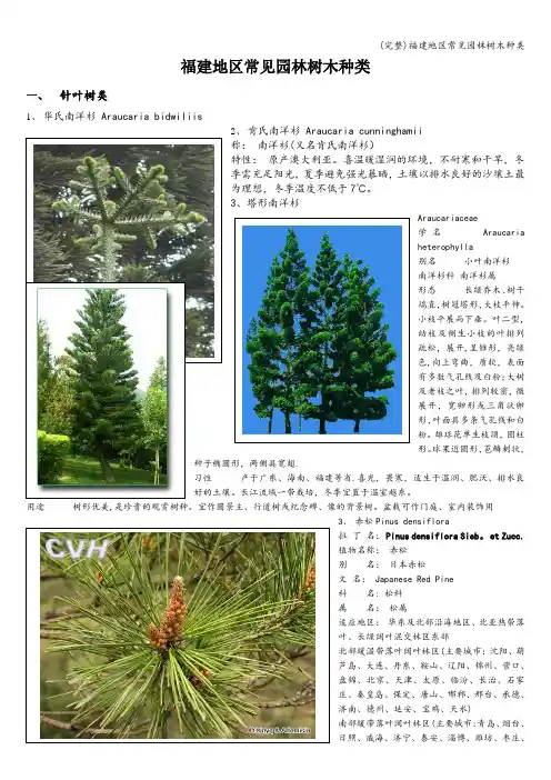 (完整)福建地区常见园林树木种类