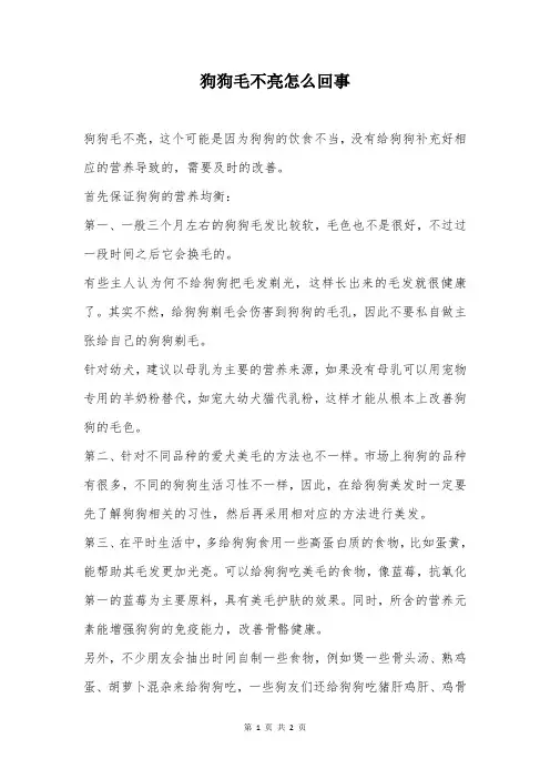 狗狗毛不亮怎么回事