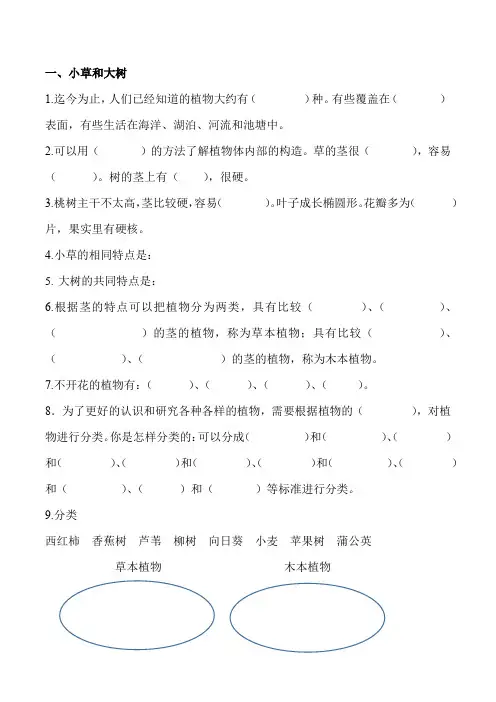 冀教版六年级上册1.小草和大树练习题