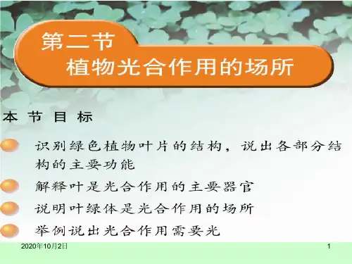 6.2植物光合作用的场所PPT课件