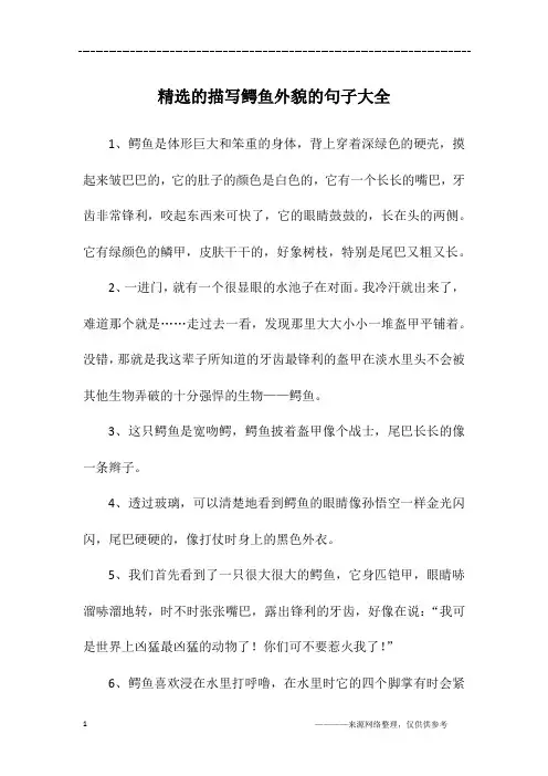 精选的描写鳄鱼外貌的句子大全