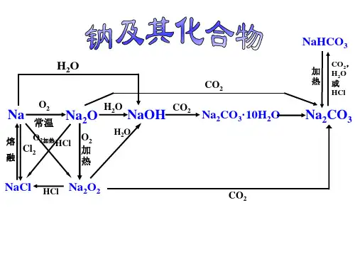 高考一轮复习钠及其化合物