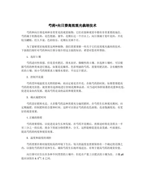 芍药+向日葵高效观光栽培技术