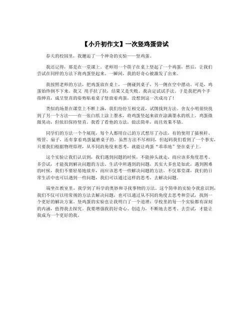 【小升初作文】一次竖鸡蛋尝试
