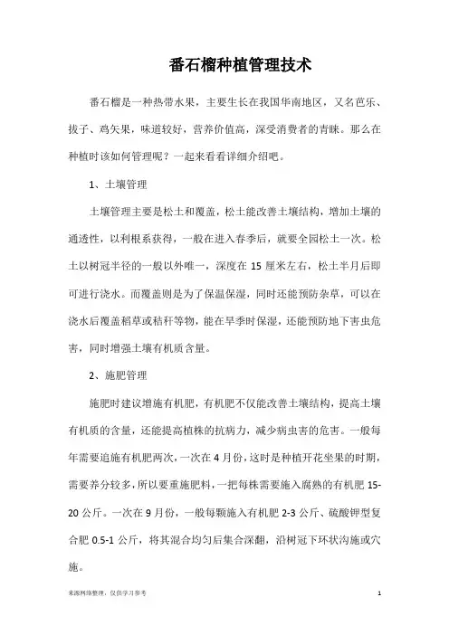 番石榴种植管理技术