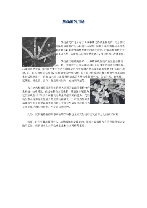 放线菌的用途