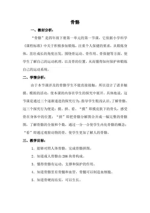 苏教版科学四年级下 骨骼