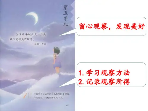 人教部编版三年级语文上册语文第15课搭船的鸟