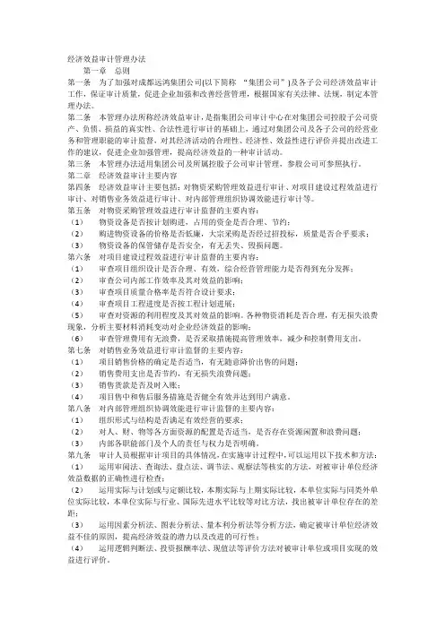 经济效益审计管理办法