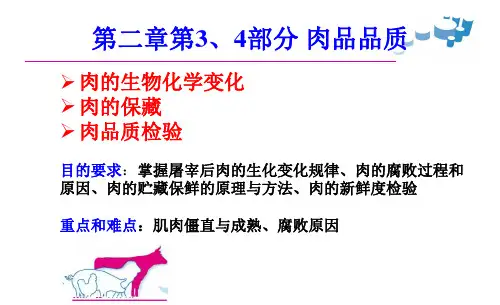 第3章畜产食品原料 肉品品质
