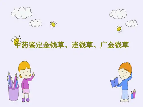 中药鉴定金钱草、连钱草、广金钱草共26页