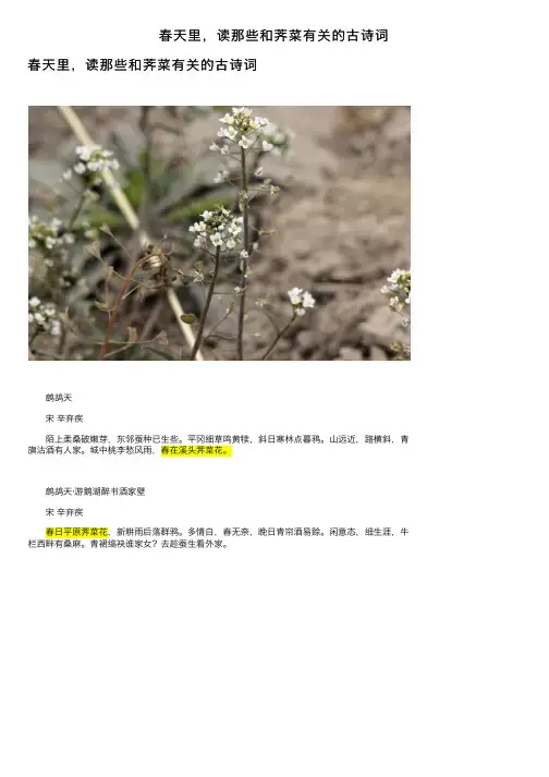 春天里，读那些和荠菜有关的古诗词