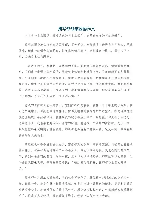 描写爷爷菜园的作文