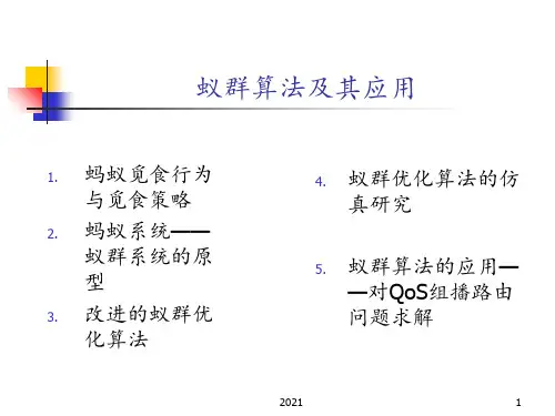 蚁群算法详细讲解PPT课件