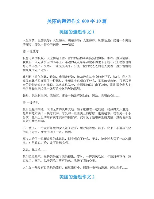 美丽的邂逅作文600字10篇