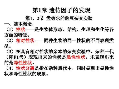 人教版生物必修2复习要点