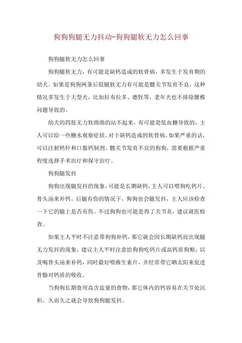 狗狗狗腿无力抖动-狗狗腿软无力怎么回事