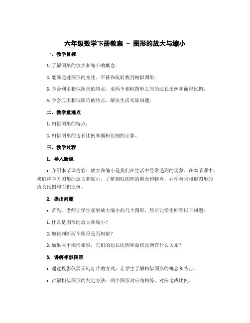 六年级数学下册教案 -图形的放大与缩小 (北师大版) (8)