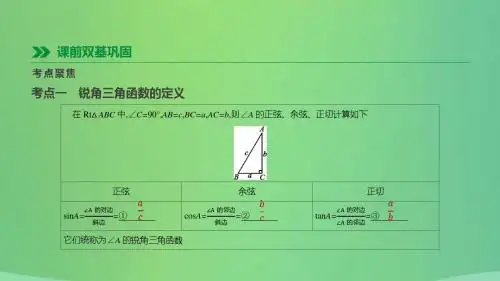 河北省中考数学复习图形的初步认识与三角形第19课时锐角三角函数及其应用课件