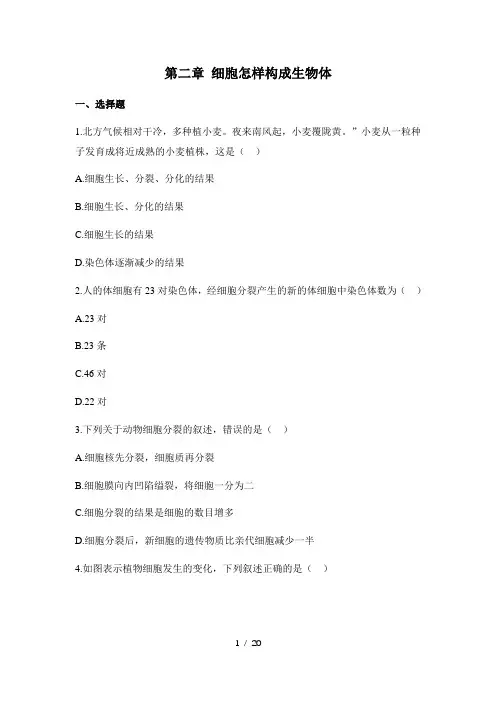 人教版生物七年级上册2.2《 细胞怎样构成生物体》章末检测(含解析)