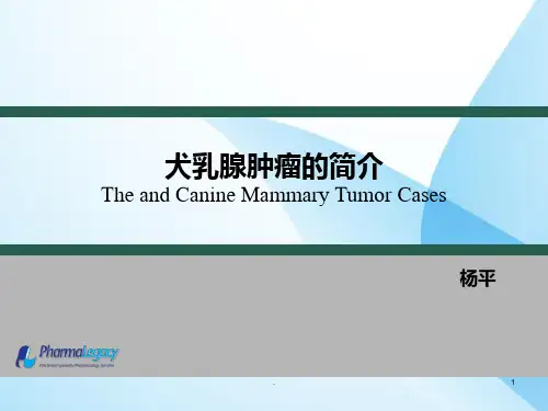 犬乳腺肿瘤