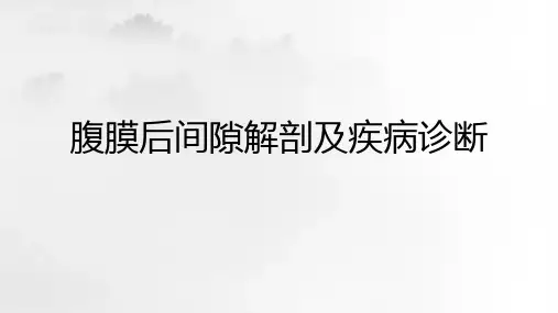 腹膜后间隙解剖及疾病诊断