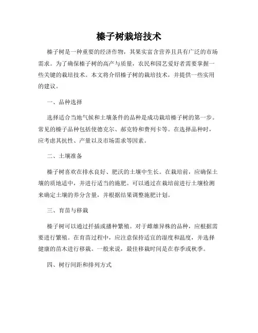 榛子树栽培技术