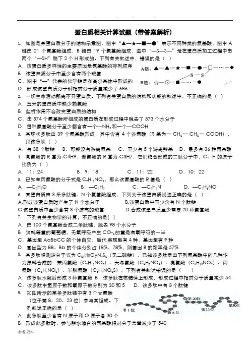 蛋白质相关计算试题(带解析)