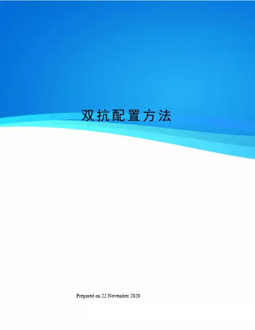 双抗配置方法