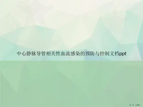 中心静脉导管相关性血流感染的预防与控制讲课文档