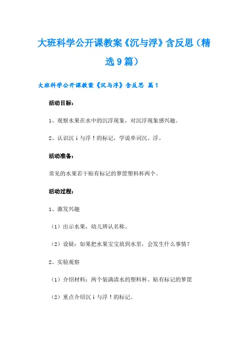 大班科学公开课教案《沉与浮》含反思(精选9篇)