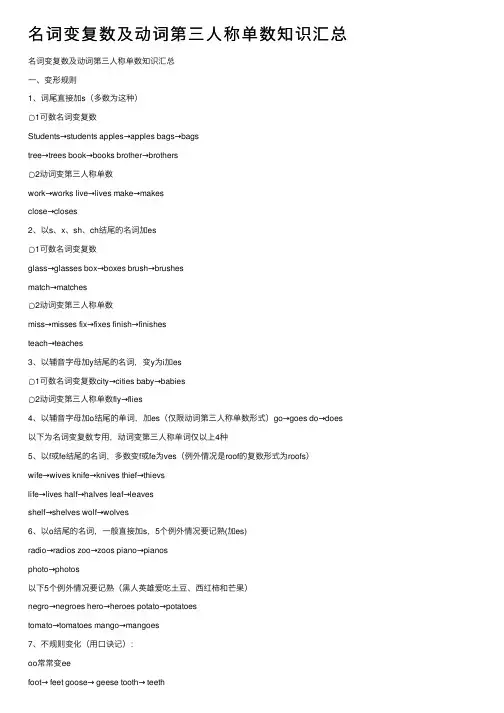 名词变复数及动词第三人称单数知识汇总