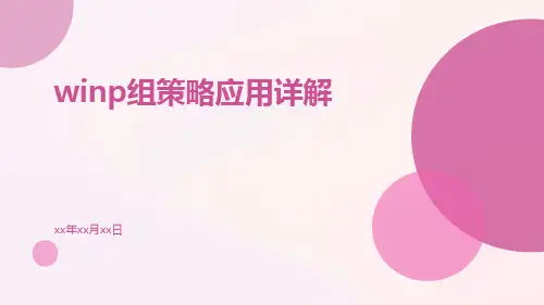 WinP组策略应用详解