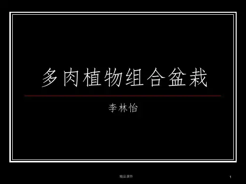 多肉植物组合盆栽ppt课件