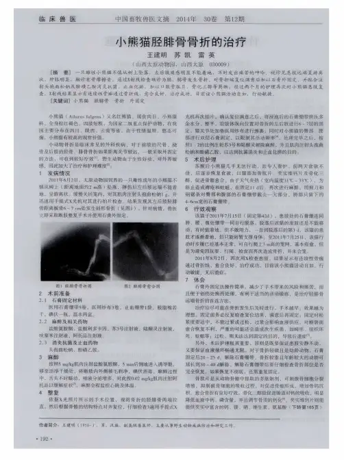 小熊猫胫腓骨骨折的治疗