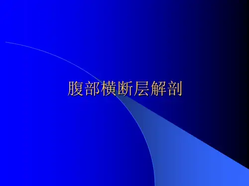 腹部横断层解剖 PPT课件
