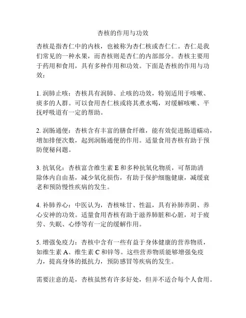 杏核的作用与功效