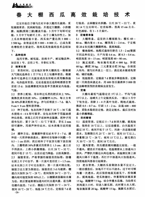 春大棚西瓜高效栽培技术