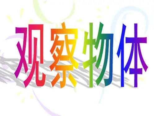 苏教新课标数学四年级上册《三、观察物体 1、从前面、右面和上面观察物体》_8