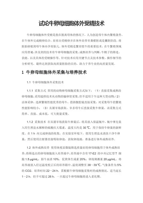 试论牛卵母细胞体外受精技术
