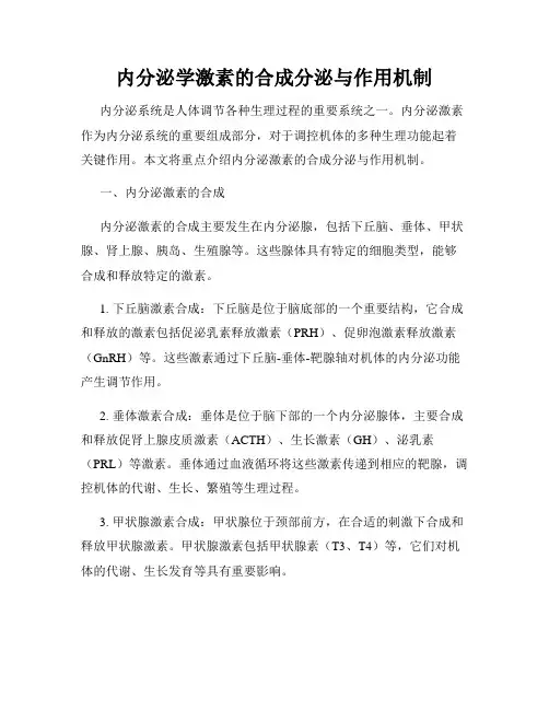内分泌学激素的合成分泌与作用机制