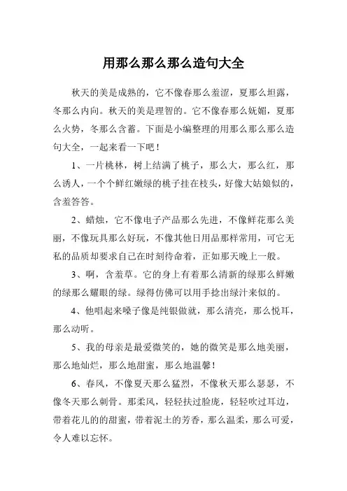 用那么那么那么造句大全