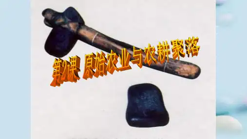 原始农业与农耕聚落ppt 北师大版