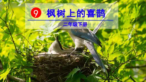 2019年语文部编版二年级下册《 9 枫树上的喜鹊 》