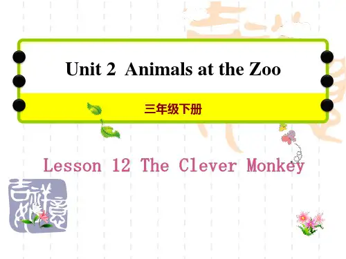 冀教版三年级下册英语《The Clever Monkey》Animals at the zoo