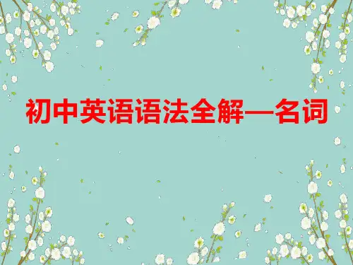 初中英语语法全解——名词(共18张PPT)